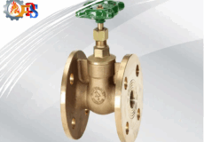 شیر دروازه ای چیست؟