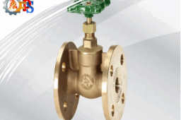 شیر دروازه ای چیست؟